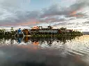 Mona Mesuem.webp