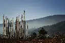 Prayer Flags.webp