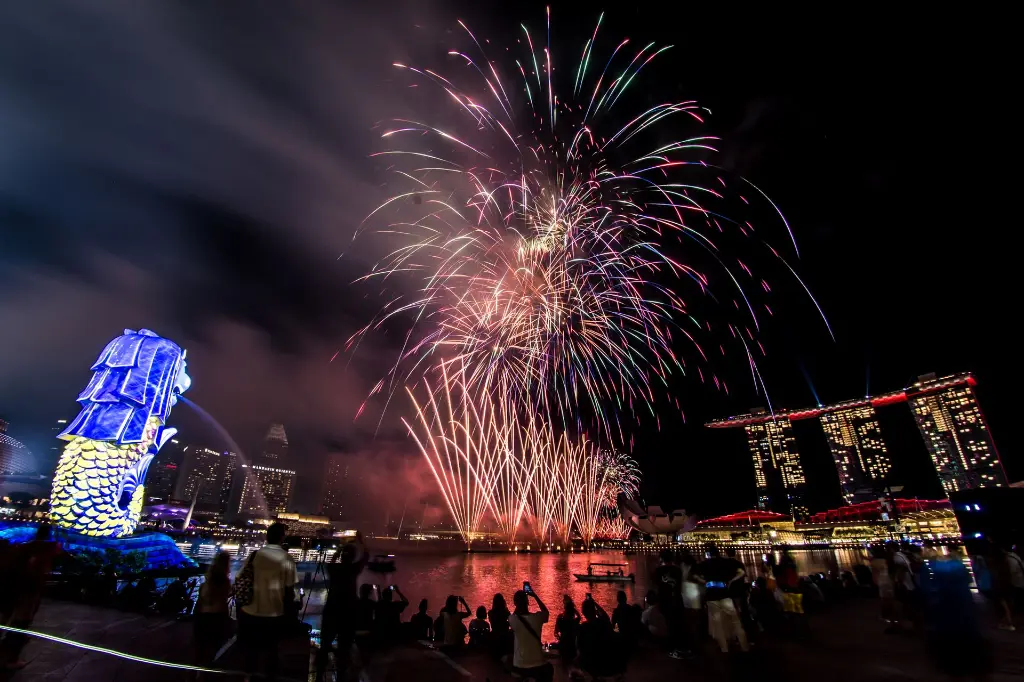 The dazzling fireworks display when the chequered flag is waved.webp