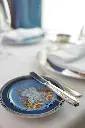 VOY Compass Rose_2025-01-22_03-40-24.webp