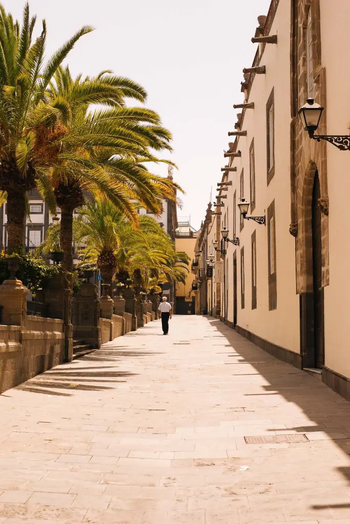 Canary Islands Spain_2025-01-22_04-12-03.webp