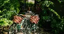 anantara_layan_phuket_activities_bikes_01_1920x1037.webp