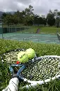 テニスラケット.webp