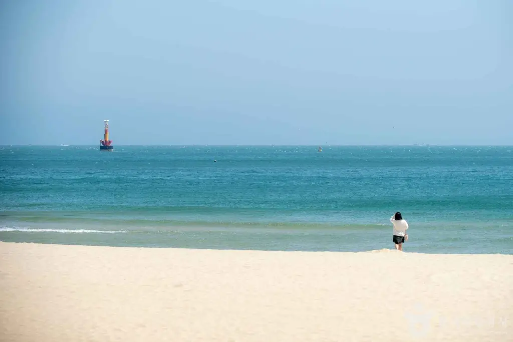 it14 (5).webp