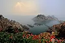 it14 (1).webp