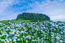 it14 (6).webp