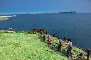 it14 (11).webp