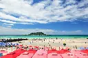 it14 (3).webp