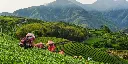 hotel-indigo-chiayi-county-8156813993-2x1.webp