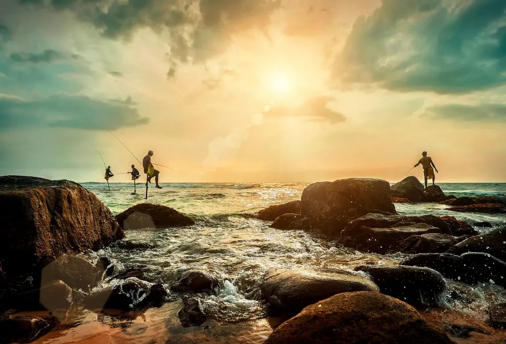 shutterstock_1007543743 - Beach stilt fishing.webp