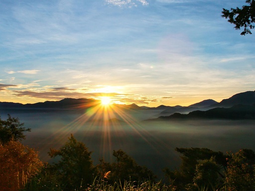 Escape to Tranquil Alishan