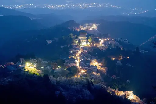 Immerse in Nara with JW Marriott